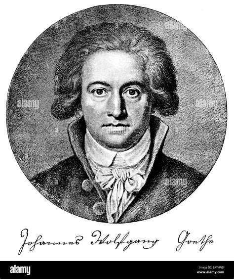 Ritratto di Johann Wolfgang von Goethe
