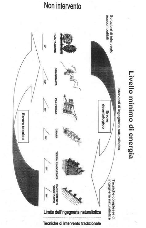 schema che illustra la riunione fittizia