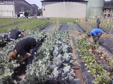Fattoria sociale con persone impegnate in attività agricole
