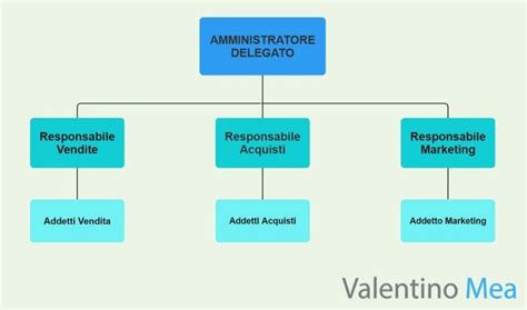 Diagramma organizzativo di una struttura sanitaria complessa