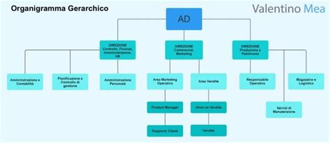 Diagramma che illustra la struttura gerarchica di un'organizzazione di servizi sociali