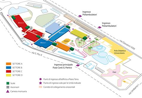 Diagramma dei reparti di un ospedale