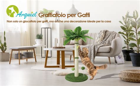 Gatto che gioca con un tiragraffi in un ambiente pulito e stimolante