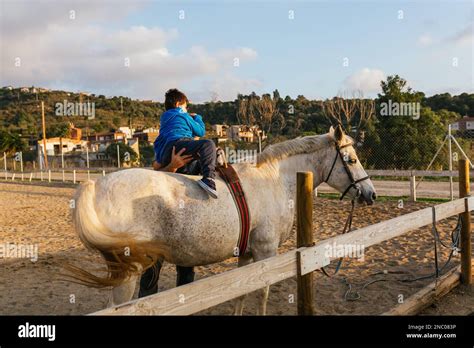 Bambino con disabilità che cavalca un cavallo durante una sessione di ippoterapia