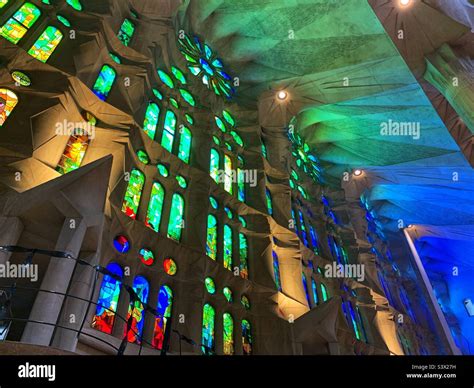 interno della Sagrada Familia con colonne a forma di albero e vetrate colorate