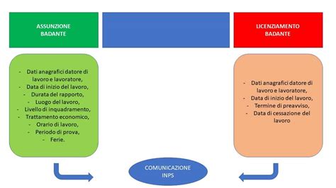 Diagramma che illustra le diverse tipologie di contratto per badanti