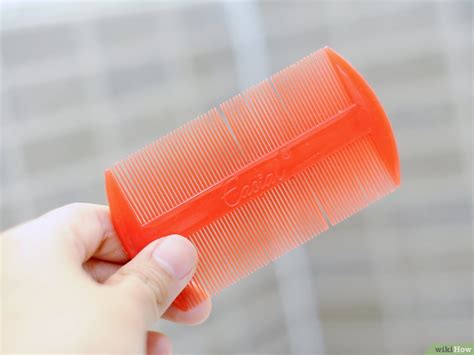 Bambino con pettine a denti stretti che controlla i capelli