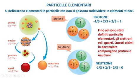 Infografica: Le particelle elementari e il loro ruolo nell'universo