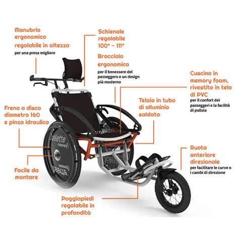 Diagramma di una carrozzina da corsa