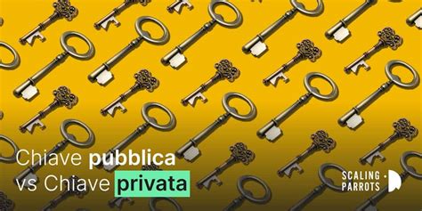 Illustrazione di una cassaforte con una chiave pubblica e una chiave privata