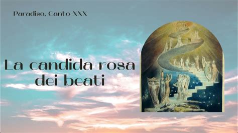 La Candida Rosa dei Beati