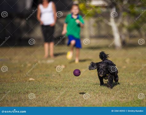 Una famiglia che gioca con il proprio cane in un parco