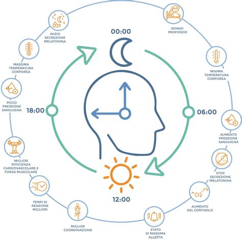 Schema che illustra la correlazione tra ritmo circadiano e processi cellulari nel cancro