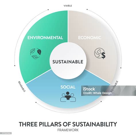 Infografica che mostra i pilastri della valutazione geriatrica globale.