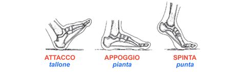 Illustrazione dell'appoggio del tallone durante la camminata