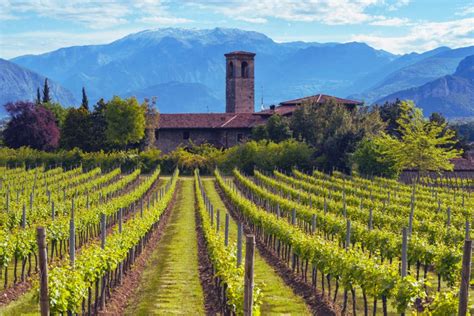 Paesaggio della Franciacorta con vigneti
