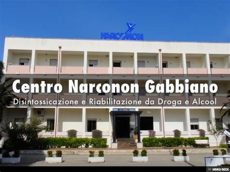 Logo della Comunità Narconon Gabbiano