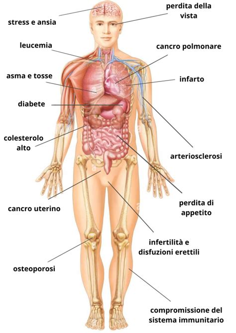 Diagramma che illustra gli effetti del fumo sul corpo umano