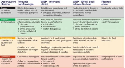 Schema del modello TIME per la gestione delle ferite