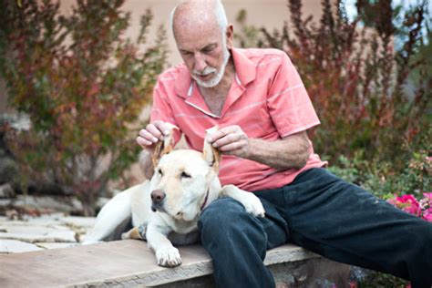 Anziano che accarezza un cane