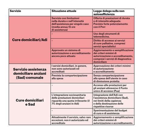 Grafico che illustra le diverse tipologie di assistenza per anziani non autosufficienti