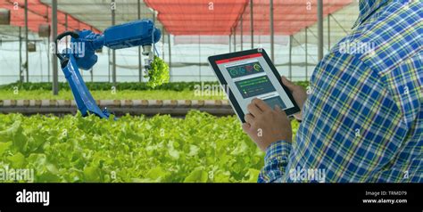 Un agricoltore che utilizza un tablet in un campo