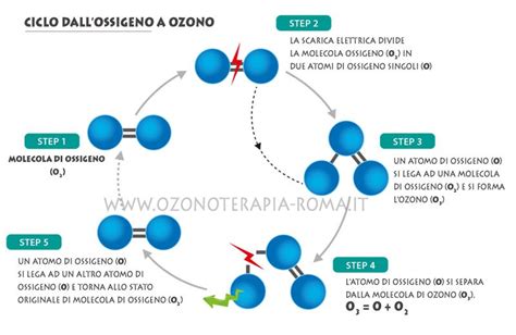 Schema che illustra il meccanismo d'azione dell'ozonoterapia