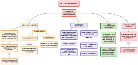 Schema che riassume le principali leggi sulle maggiorazioni sociali