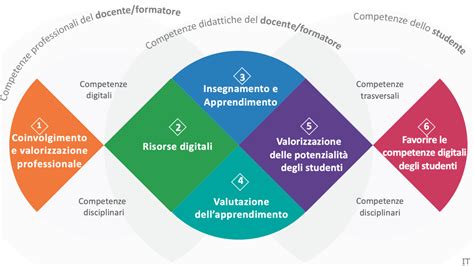 Diagramma che illustra le diverse aree di competenza di un educatore