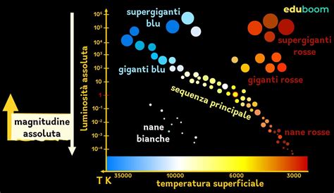 Grafico comparativo delle caratteristiche di diversi tipi di pannoloni