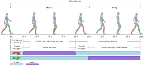 Diagramma delle fasi del ciclo del passo