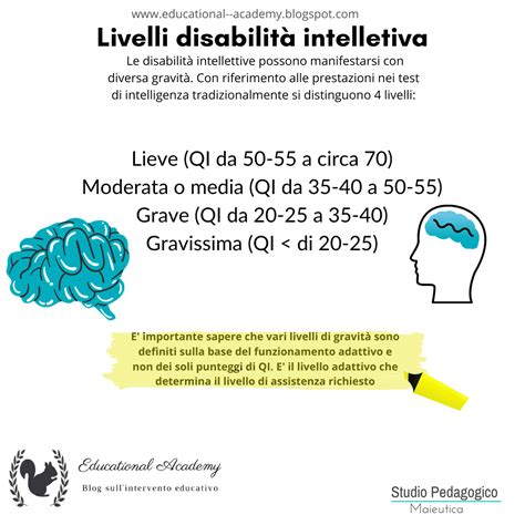 Infografica che illustra le differenze tra i livelli di gravità della Disabilità Intellettiva negli ambiti concettuale, sociale e pratico