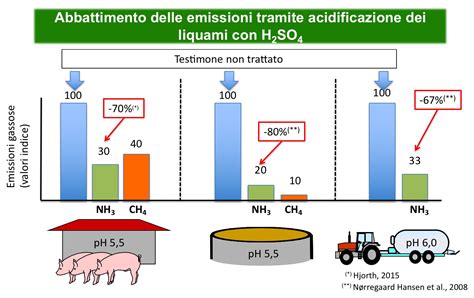 Schema illustrativo del ciclo di gestione dei reflui zootecnici in un allevamento