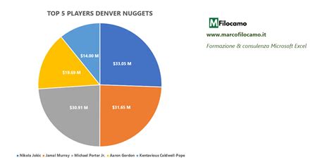 Grafico a torta che mostra la composizione di un'équipe multidisciplinare