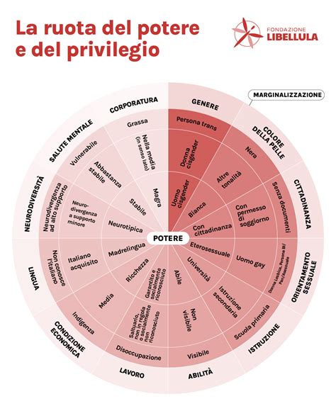 Diagramma che illustra i concetti di potere, oppressione e privilegio