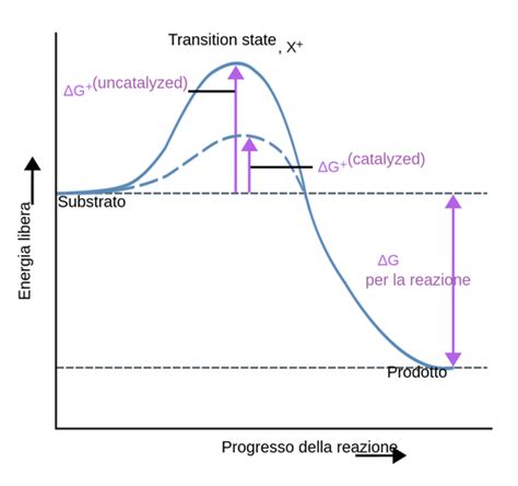 Diagramma che illustra la transizione da IPAB a ASP