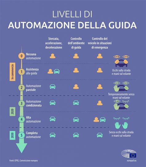 Infografica che mostra i diversi livelli di cura offerti dalle RSA