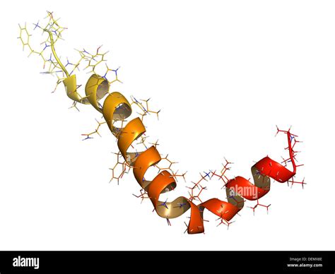 Schema di una molecola di beta amiloide