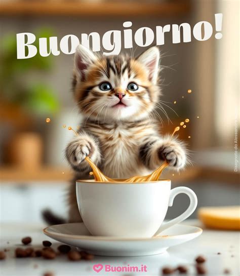 Gatto che riceve fisioterapia con un veterinario