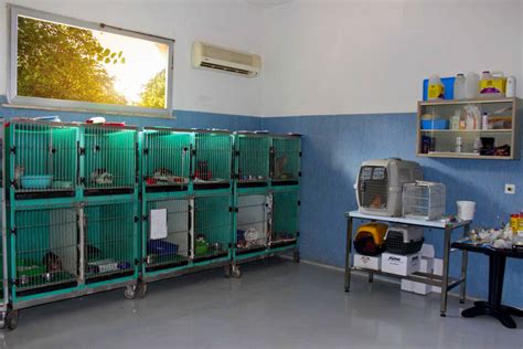 Clinica veterinaria con gabbie di degenza