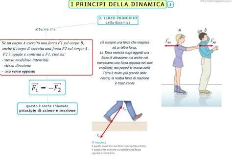 Infografica sui principi della valutazione civica dei servizi pubblici.