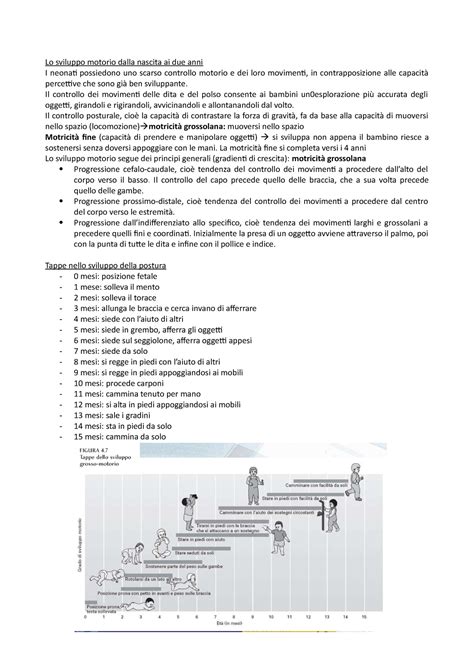 Diagramma dello sviluppo motorio dalla nascita alla deambulazione