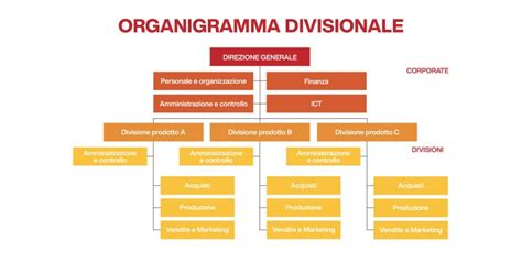 Diagramma che illustra le opportunità lavorative per specializzandi