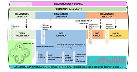 Schema che illustra i diversi livelli di assorbenza dei pannoloni