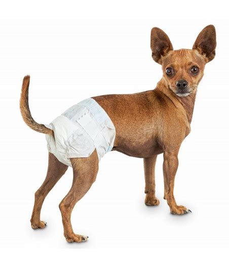 Cane con pannolino