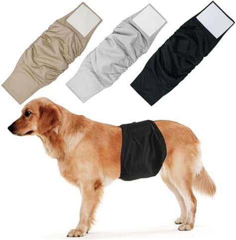 Cane maschio con fascia igienica