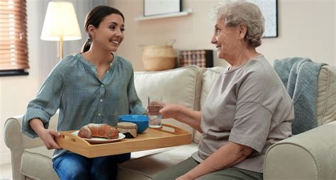 Diagramma che illustra le diverse mansioni di una badante