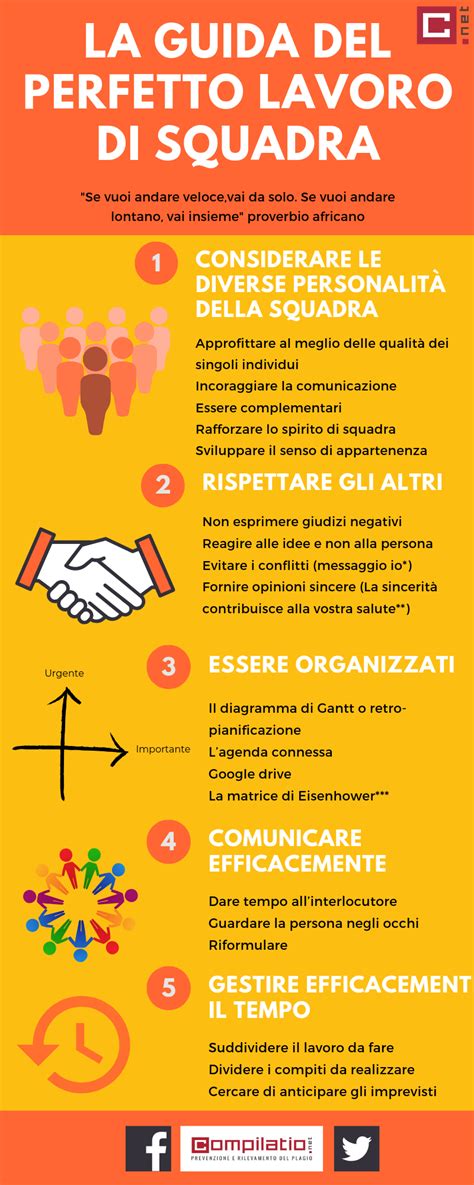 Infografica sulle regole di visita per neo-papà