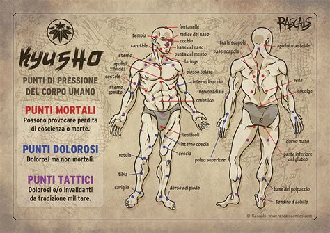 Schema anatomico con punti di pressione del corpo seduto