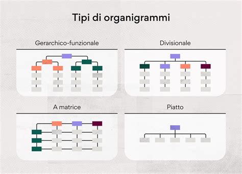 Schema che illustra il modello organizzativo del CDCD